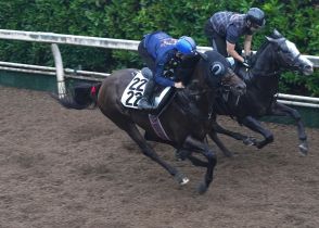 【プロキオンＳ】武豊騎手絶賛　無傷の４連勝ヤマニンウルス、余力残し坂路５７秒４も凄み十分