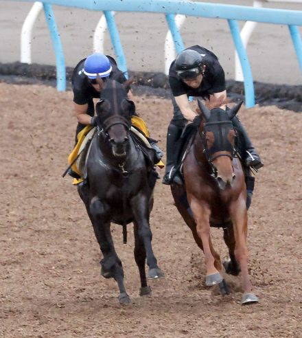 【七夕賞】ボーンディスウェイ２馬身追走し併入　折り合い、反応ともに完璧