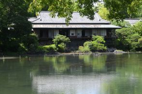 三島・楽寿園の小浜池、2年連続「満水」　深緑が水面に映える珍しい光景広がる