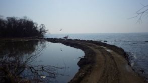 【一体ナゼ？】「琵琶湖に道路ができている」沖合の湿地帯つなぐ約70m“盛り土” 滋賀県が刑事告発　目的は不明…行為者「許可なくやった」