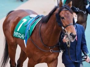 兄に重賞馬2頭を持つ期待馬 川田将雅騎手とのコンビでデビューV狙う