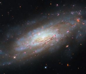 ハッブル宇宙望遠鏡が撮影した“おとめ座”の渦巻銀河「NGC 4951」