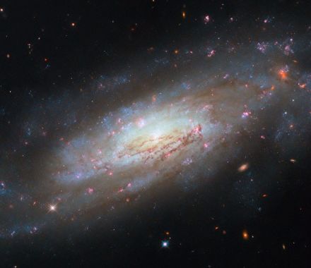 ハッブル宇宙望遠鏡が撮影した“おとめ座”の渦巻銀河「NGC 4951」