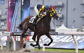 【地方競馬コラム】出世レース制したグレアネオンライト　来春のヒロインとなれる器