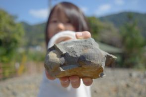 夏休みは熊本・天草市の離島で、ほぼ100％見つかる「化石収集体験」