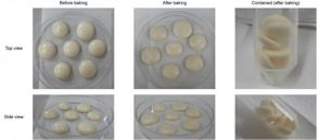 韓国の研究チーム、微生物で作った「卵」公開…食糧難解決の一助に