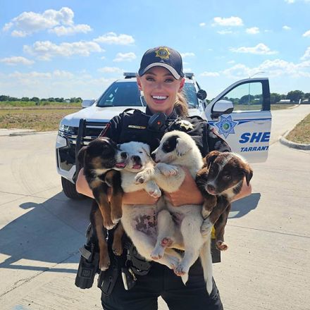 米テキサス州で炎天下に捨てられた子犬8匹を保安官補2人が救助！ 引き取り手もすべて決まる