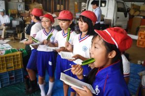 畑で”宝探し”？　特産のキュウリ収穫体験　「みずみずしくておいしい」／岡山・久米南町