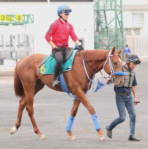 粗暴な行為で騎乗停止の制裁を受けていた富田暁騎手が調教に騎乗　今週から復帰し、土日の函館競馬で１３鞍に騎乗