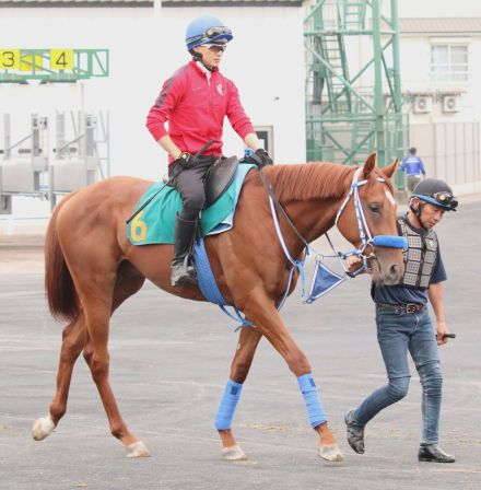 粗暴な行為で騎乗停止の制裁を受けていた富田暁騎手が調教に騎乗　今週から復帰し、土日の函館競馬で１３鞍に騎乗