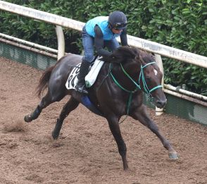 【プロキオンＳ】スレイマンは金曜輸送で万全の態勢を整える　池添調教師「今回は感じがいい」