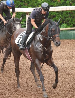 【プロキオンＳ】武豊騎手騎乗で無敗のヤマニンウルスは６枠１１番　３歳馬初Ｖ目指すブルーサンは７枠１３番　枠順決定