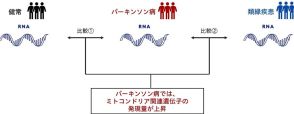 花王と順天堂大の研究グループ、パーキンソン病特有のRNA発現量変化を特定　検査法開発の一助に