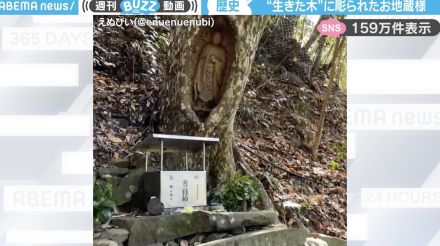 もはや芸術…生きた木の幹に彫り込まれたお地蔵様がSNSで感嘆の声！「くり抜かれて枯れずにいる木の生命力がすごい」「おがんじゃうな～」