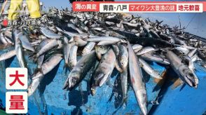 八戸で「マイワシ」大豊漁…気仙沼で「マダイ」水揚げ30倍　東北の海に異変