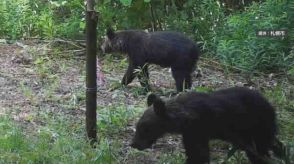 住宅街近くにクマ出没　「すぐそこまで来ている」　住民から不安の声　札幌・三角山につながる登山道に2頭