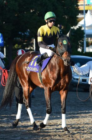 大井のセイントメモリー17歳で死す…重賞６勝、NAR４歳以上最優秀牡馬、公道に逃走も