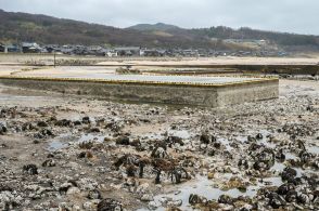 能登地震の隆起海底に新施設も　漁港復旧へ水産庁検討会