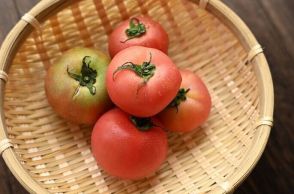 【冷蔵庫はNG】緑色のトマトを赤色にする方法が想像以上に簡単だった！