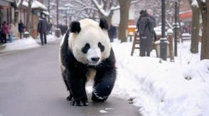 「雪の東京を歩くパンダ」で作られた動画は…中国AI、独自の進化