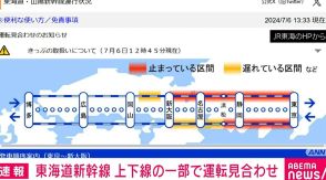 東海道新幹線 上りは新大阪～東京駅間、下りは東京～浜松駅間で運転見合わせ 一部区間の停電が影響