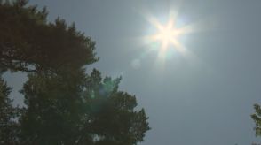 一関で猛暑日手前の34.0度　今年1番の暑さに　34観測地点中23か所で真夏日を観測　盛岡は31.5度　「小暑」の岩手