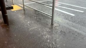 東京都心で激しい雷雨　埼玉・千葉の一部に竜巻注意情報