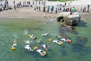 海女がアワビを採り競う　しろんご祭り 三重・鳥羽の菅島