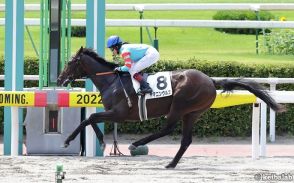 【プロキオンS】G1競走9勝の名馬と酷似！？極上の素質を秘めた1頭