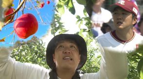 元楽天投手・石橋良太さん　戦力外からの挑戦は農家のところに飛び込んだ　きっかけはリンゴ
