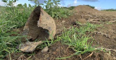 日本兵1万人はどこへ…硫黄島「滑走路下」に多数の遺骨が眠っているのか「ひとつの答え」