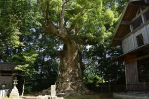 「お酒を呑む人の御守」が話題　なぜ神社とお酒が関係…？意外な由来　ネットでも頒布、御利益は？