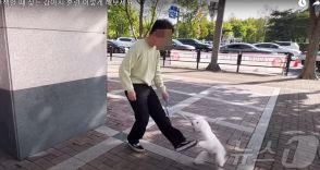 「首輪つけ、わき腹を蹴る」という愛犬しつけ法…「訓練なのか、虐待なのか」韓国で激しい論争