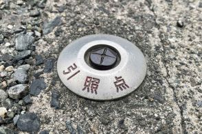 そういや見かけるけど「意味」は知らなかった……なんて人多数！　道路に埋め込まれた「謎のネジ」のような物体の正体とは