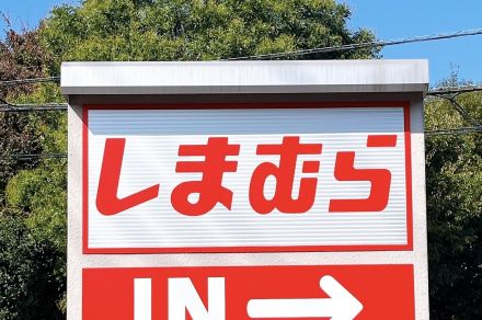 【しまむら】ぽわん袖がカワイイ！肉感を拾わない「1089円トップス」二の腕をがっつりカバーしてくれます《購入レビュー》