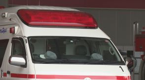 2歳の女の子が車に40分閉じ込められ「熱中症」 “エアコン不使用”の80代女性も 石川県内11人搬送