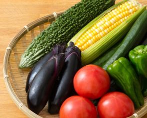 野菜のプロ直伝！「新鮮な夏野菜」の選び方　迷ったら…まずチェックすべきなのは「重さ」と「色」