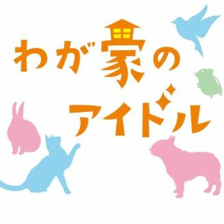 ［わが家のアイドル］兄さんを気遣う優しい子