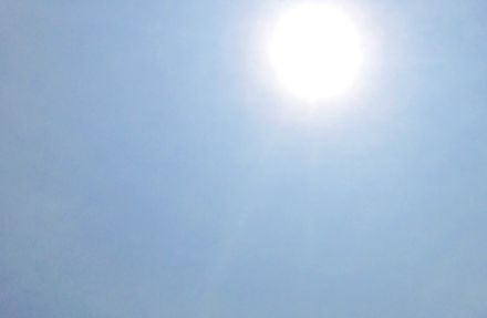 市原38・0度　千葉県内、今年最高気温9地点で更新　茂原、佐倉など7地点猛暑日に