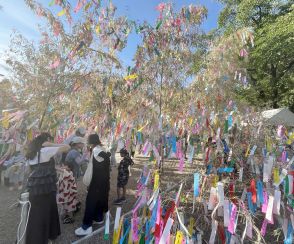 「願いよ届け」大阪・織姫祀る神社に大きな笹と短冊　猛暑の中、多くの人でにぎわう