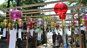 涼やかな音色を境内で　大田原・光丸山法輪寺の風鈴祭り　色とりどり300個が一堂に