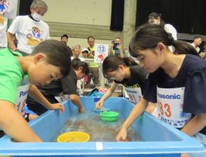 「金魚すくい選手権大会」奈良県予選で全国目指し熱戦