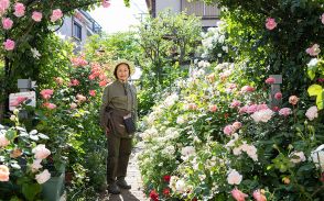 医師リタイア後、74歳女性の人生を輝かせる「バラの庭」におじゃまします！ “花友だち”と旅行など在職中は諦めていた人生を再経験中　中山さん・こだいらオープンガーデン