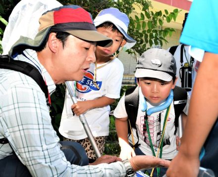 新種の昆虫を氷ノ山で探せ　親子で採集や自然観察