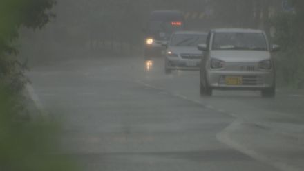 梅雨前線活発化　雷伴う激しい雨・竜巻などの恐れも　土砂災害などに注意・警戒を【新潟】