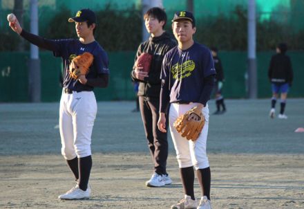 令和の高校野球の象徴？！SJBで都立江戸川は東東京大会の上位進出を狙う