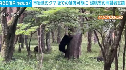 相次ぐクマ被害受け 市街地での銃捕獲可能に 環境省の有識者会議