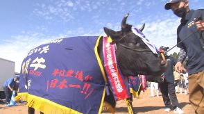 悲願の「肉牛の部」日本一と「種牛の部」奪還目指す　3年後の和牛五輪で金メダルを　大分