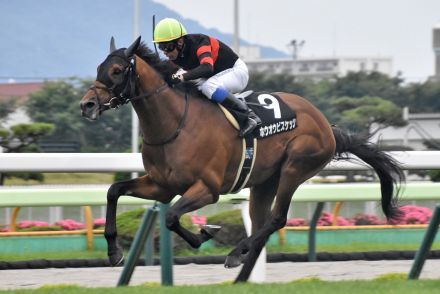 【函館記念展望】〝実力者〟揃った４歳勢　巴賞勝ち馬ホウオウビスケッツは不振データを払拭できるか？