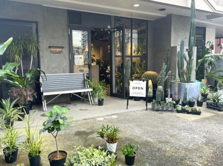 福岡・赤坂にカフェ「GO PLANT FUKUOKA」　観葉植物ショップ併設